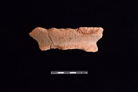 藏品(陶罐)的圖片